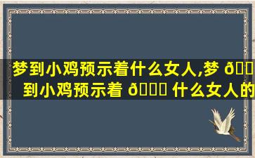 梦到小鸡预示着什么女人,梦 🐛 到小鸡预示着 🐝 什么女人的意思
